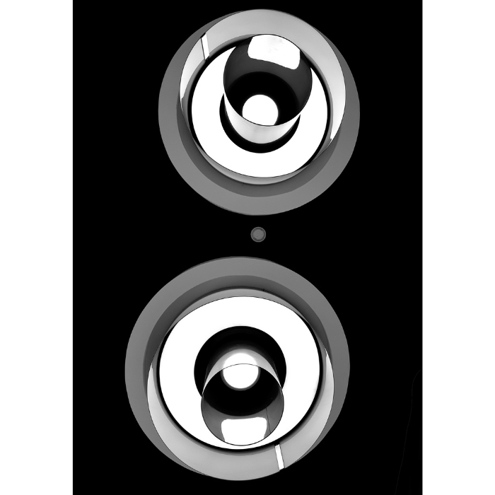 Spy