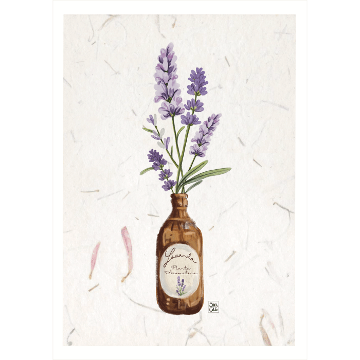 Lavanda.png