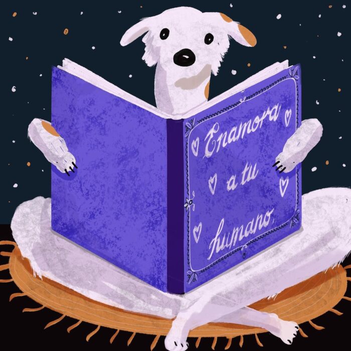 Enamora a tu humano