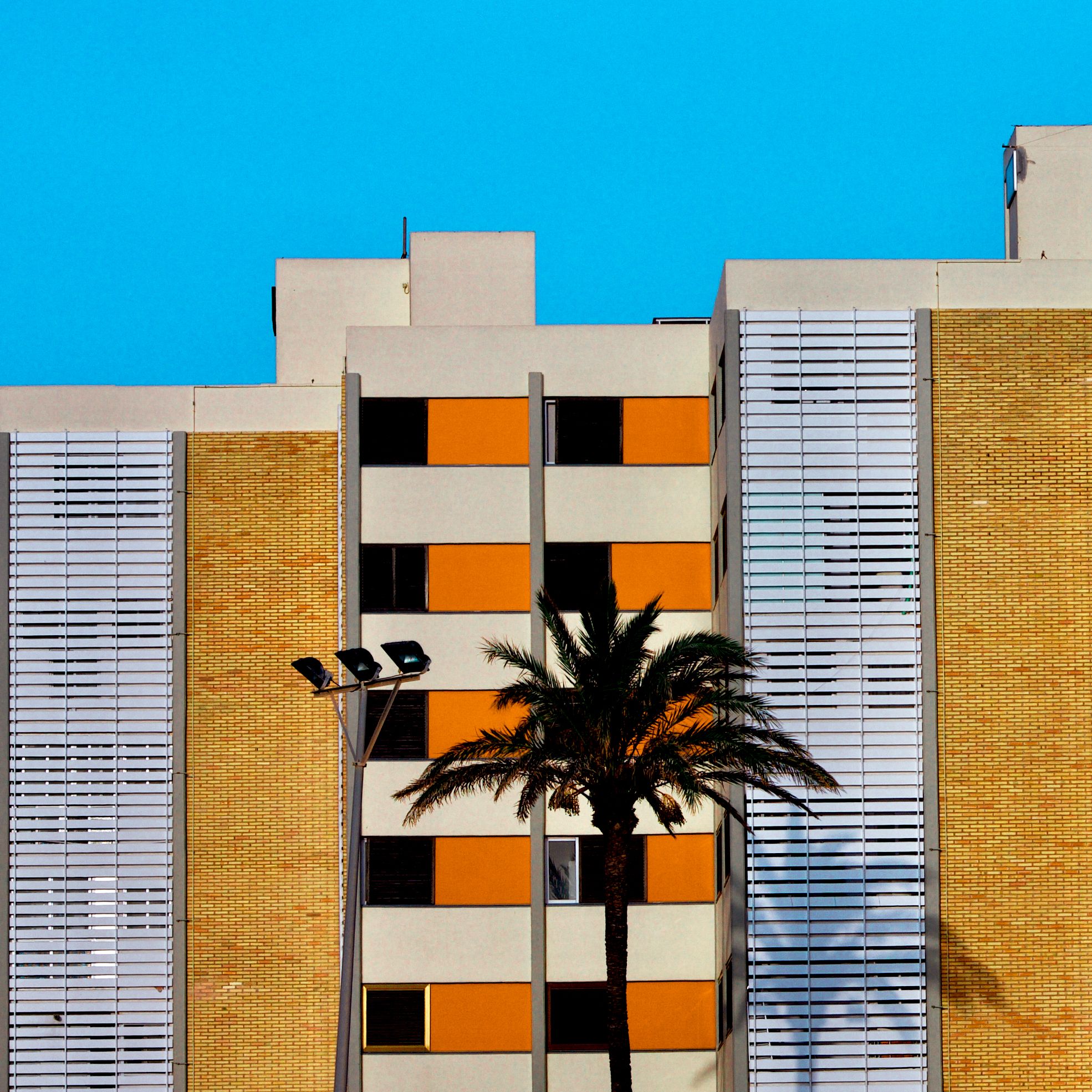 Naranja Mediterránea