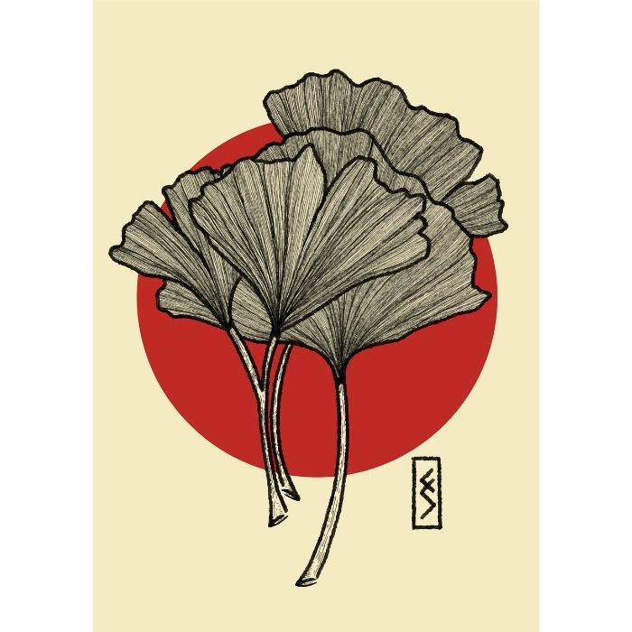 Ginkgo