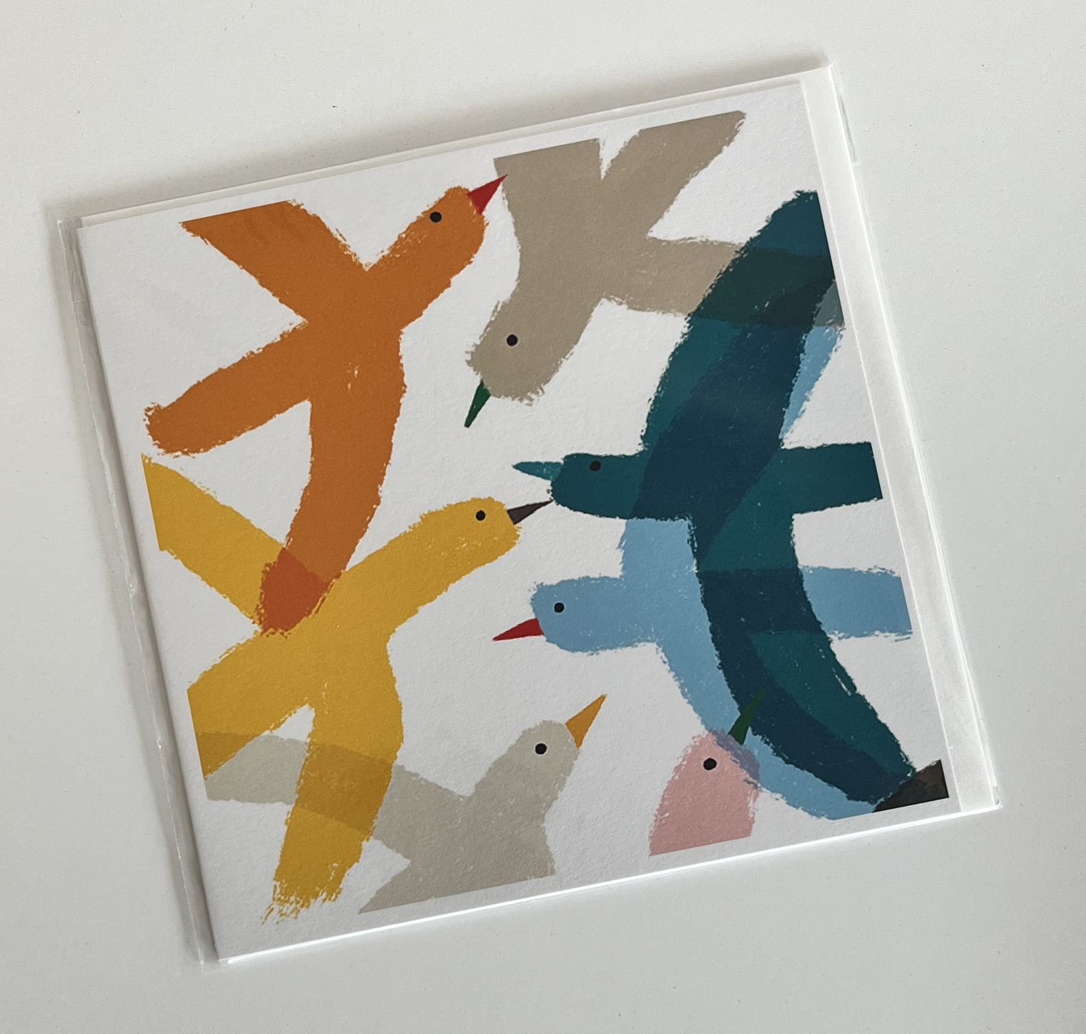 Colour birds